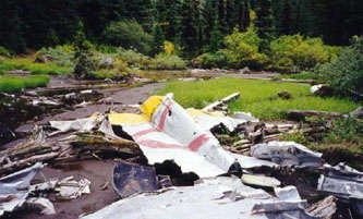 44-85746 crash site